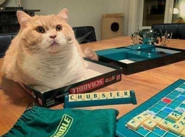 funny chonky scrabble