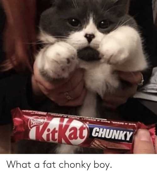 funny-chunky-ba