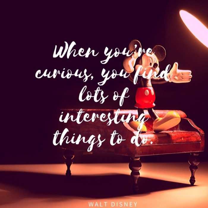 quote when curious