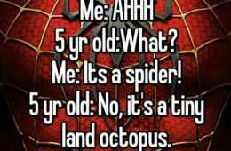 Whisper Spider Octopus