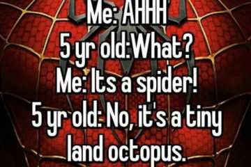 Whisper Spider Octopus