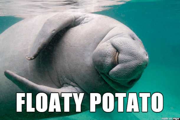 animal floaty potato