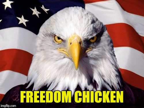 animal freedom chicken