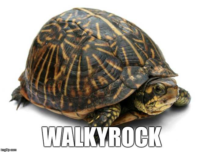 animal walky rock