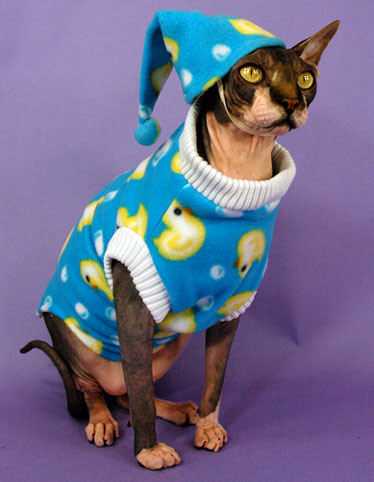 Cat-In-Pjs