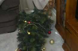 Fail Christmas Dog