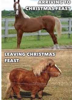 funny arriving feast