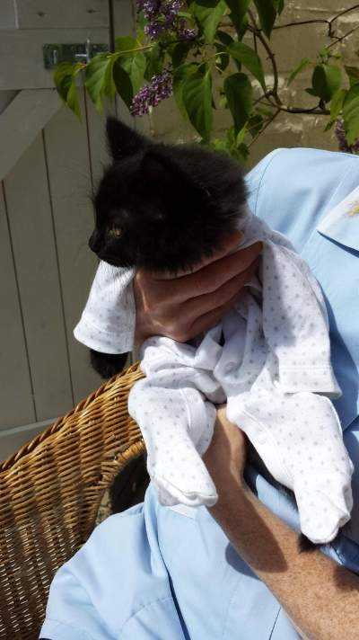 Funny-Black-Cat-Pjs
