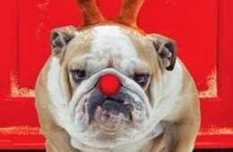Funny Dog Antlers