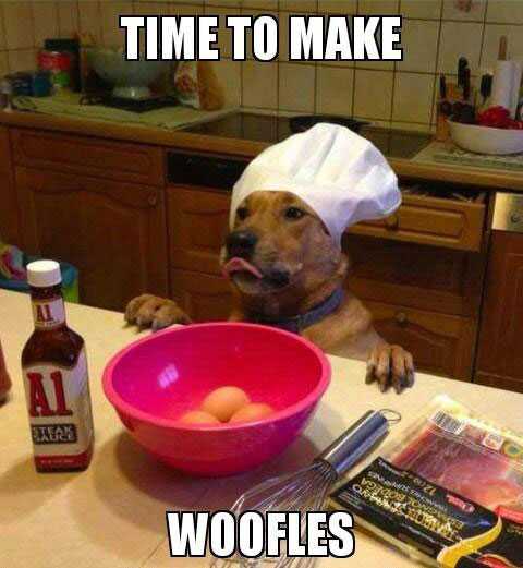 funny-dog-woofles