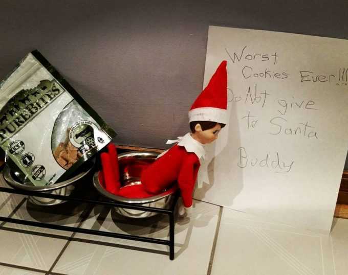 clever elf on the shelf ideas  worst cookies dog cookies for Santa