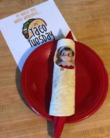 clever elf on the shelf ideas  taco Tuesday