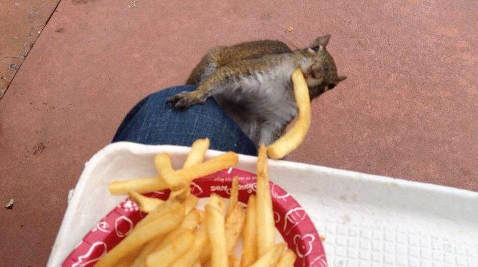 funny-fries-theft