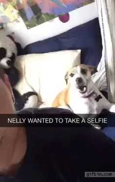 funny nelly selfie