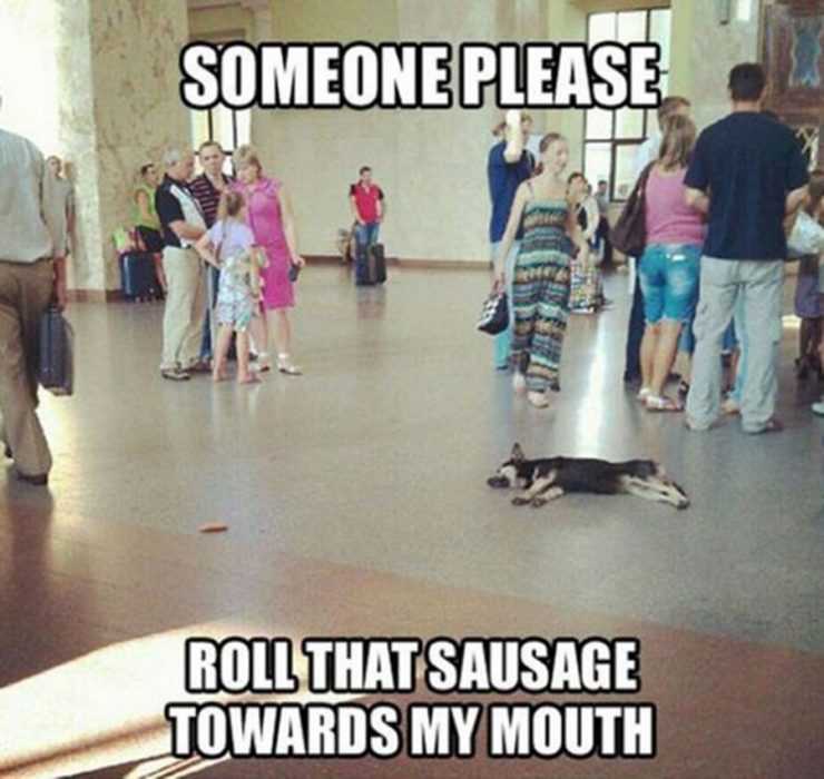 funny roll sausage