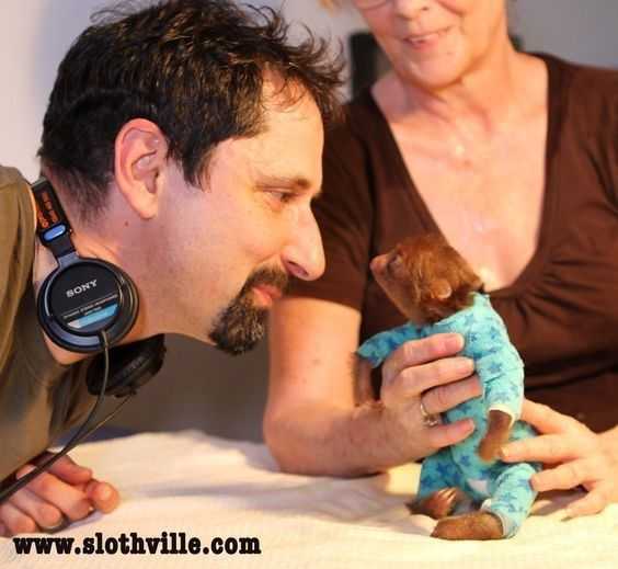 Funny-Sloth-Tiny