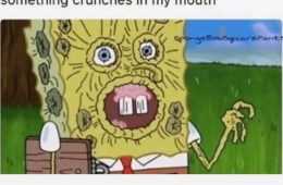 Funny Something Crunches