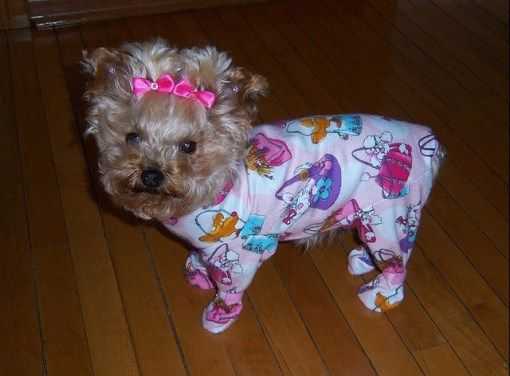 Funny-Yorkie-Pjs-1