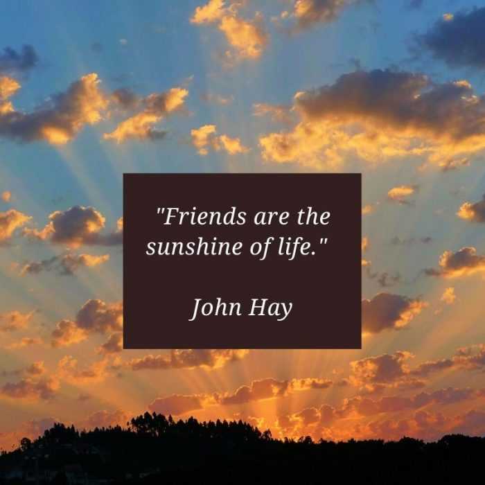 Friends are the sunshine of life. John Hay