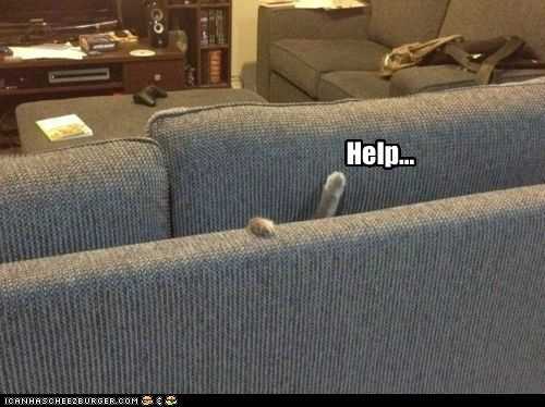 cat-lol-couch 35 Funny Pictures of Cats Stuck in Places They Shouldn't Be