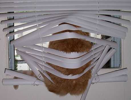 cat-more-blinds 35 Funny Pictures of Cats Stuck in Places They Shouldn't Be