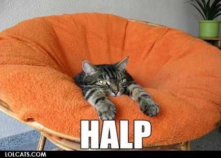cat-orange-chair 35 Funny Pictures of Cats Stuck in Places They Shouldn't Be