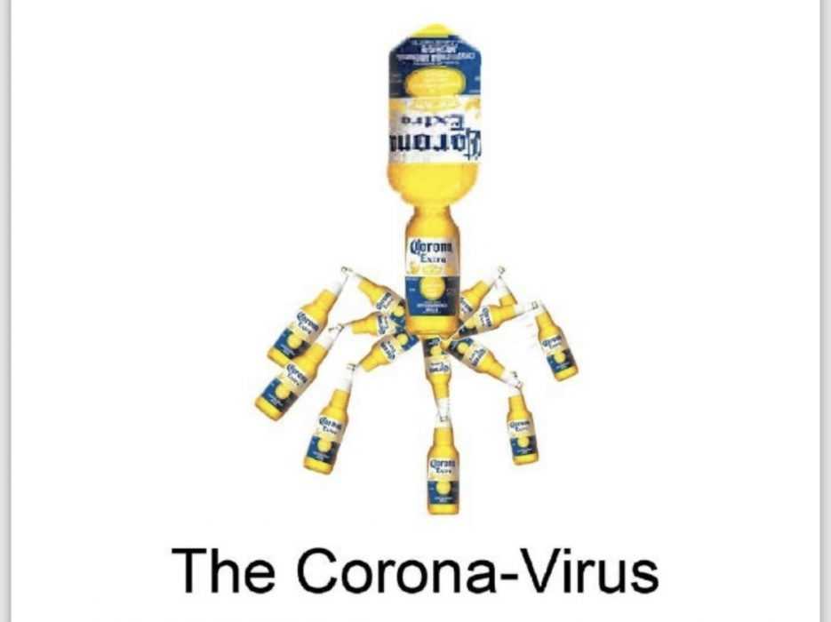 corona beer virus visualized using corona beer bottles