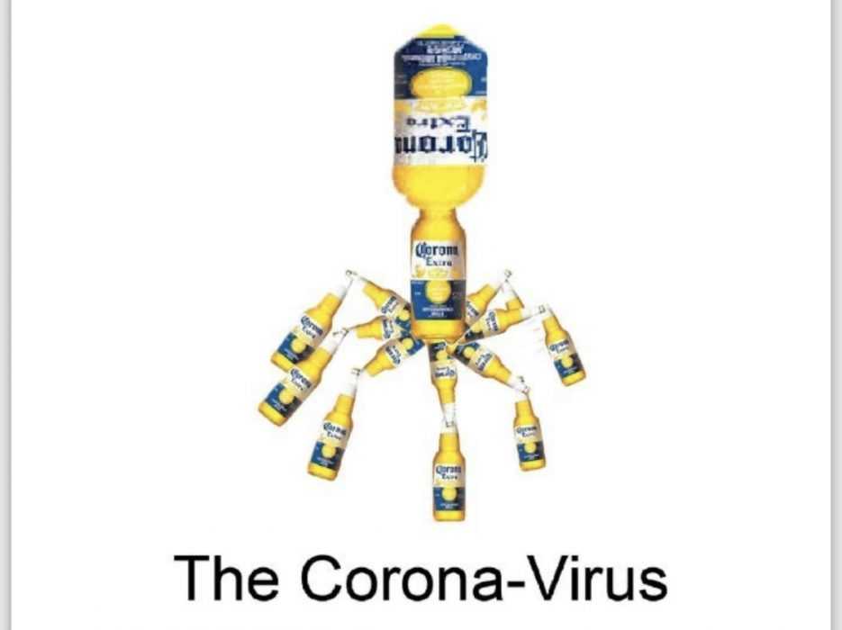 corona beer memes