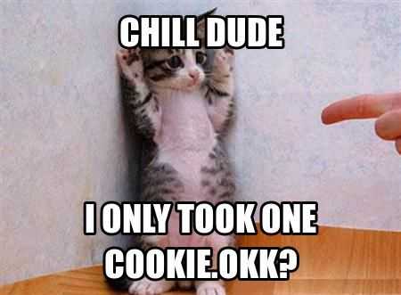 Funny Cat Cookie