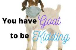 Funny Face Mask Meme  Goat To Be Kidding