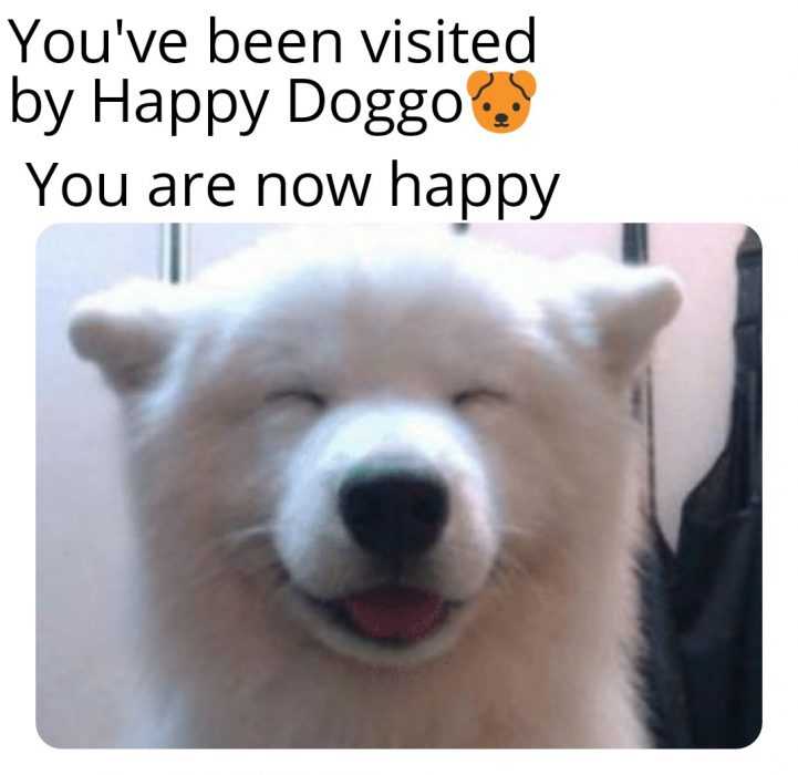 funny happy doggo