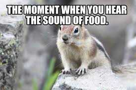 funny moment food