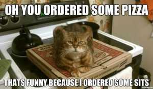 funny ordered some sits