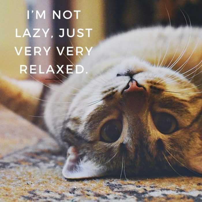 quote-not-lazy