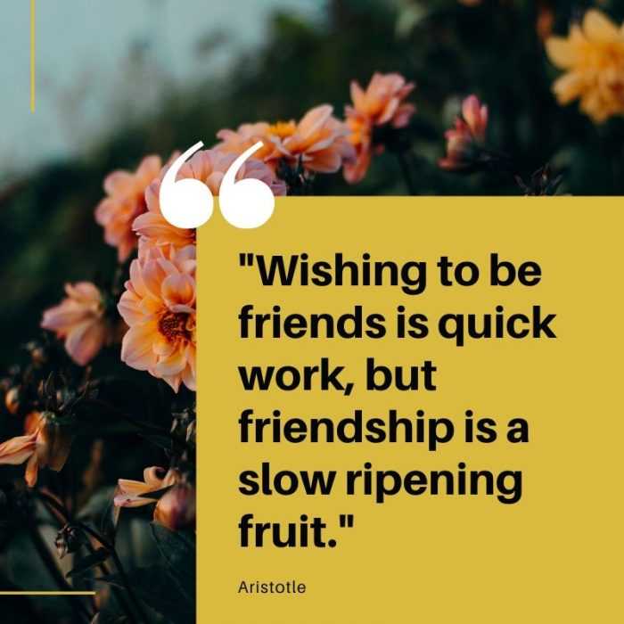 quote wishing to be friends