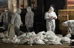 Volunteers Prepare For A Pandemic