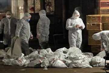 Volunteers Prepare For A Pandemic