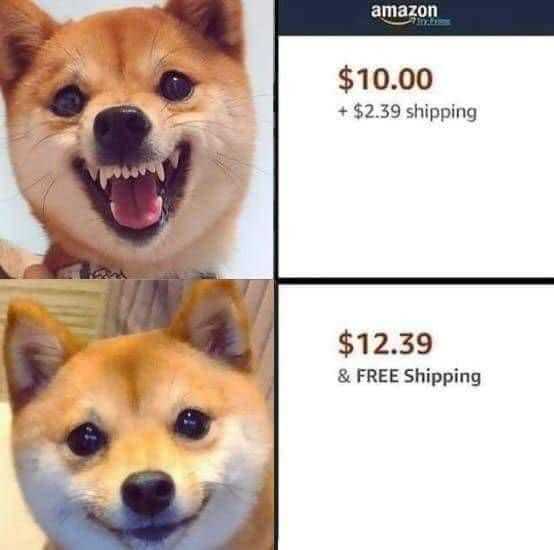 funny amazon memes  free shipping sells.