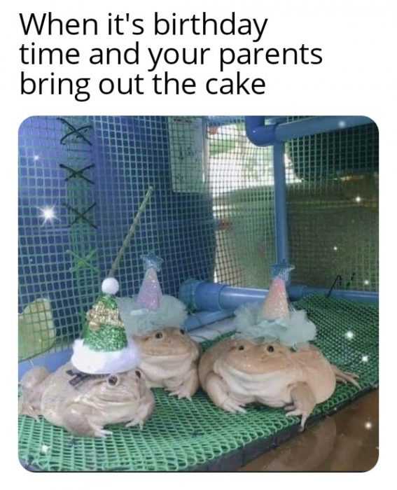 funny-birthday-cake
