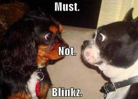 funny-blink-not