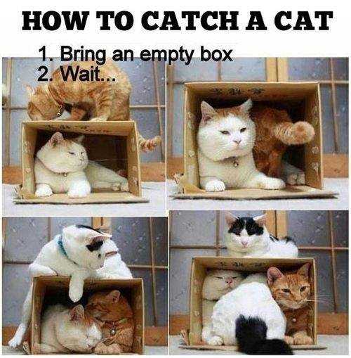 funny-bring-empty-box