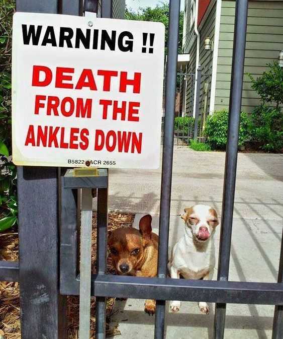 funny-death-ankles