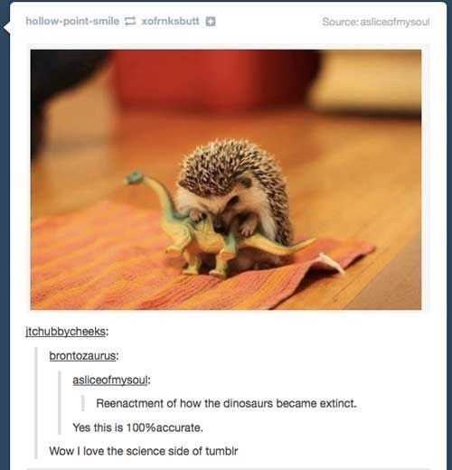 funny-dino-extinct