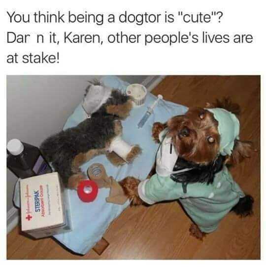 funny-dogtor
