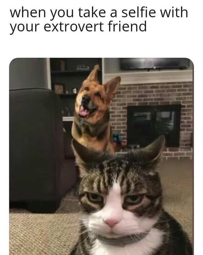 funny-extrovert