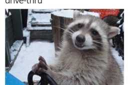 Funny Gimme Gorbage