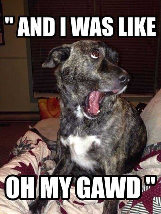 funny-like-omg