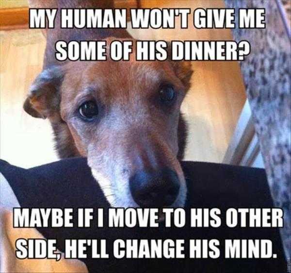 funny-maybe-move
