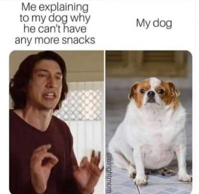 funny-me-my-dog