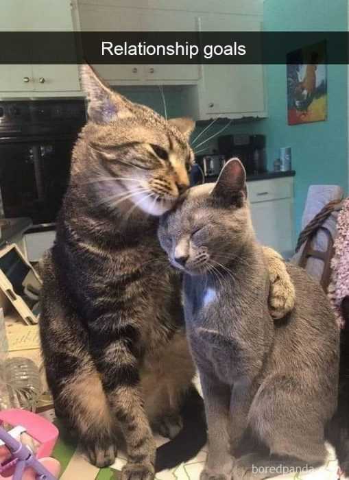 Funny Mom Hug